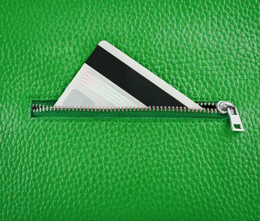 tarjeta visa dentro de una cartera verde